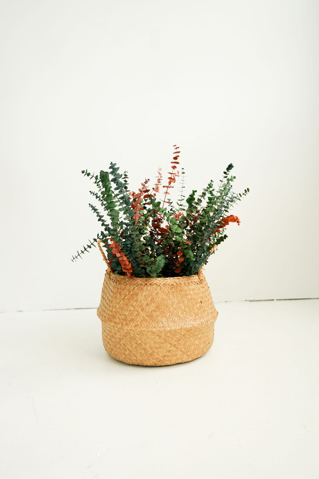 House & Home Moon Rabbit Acupuncture