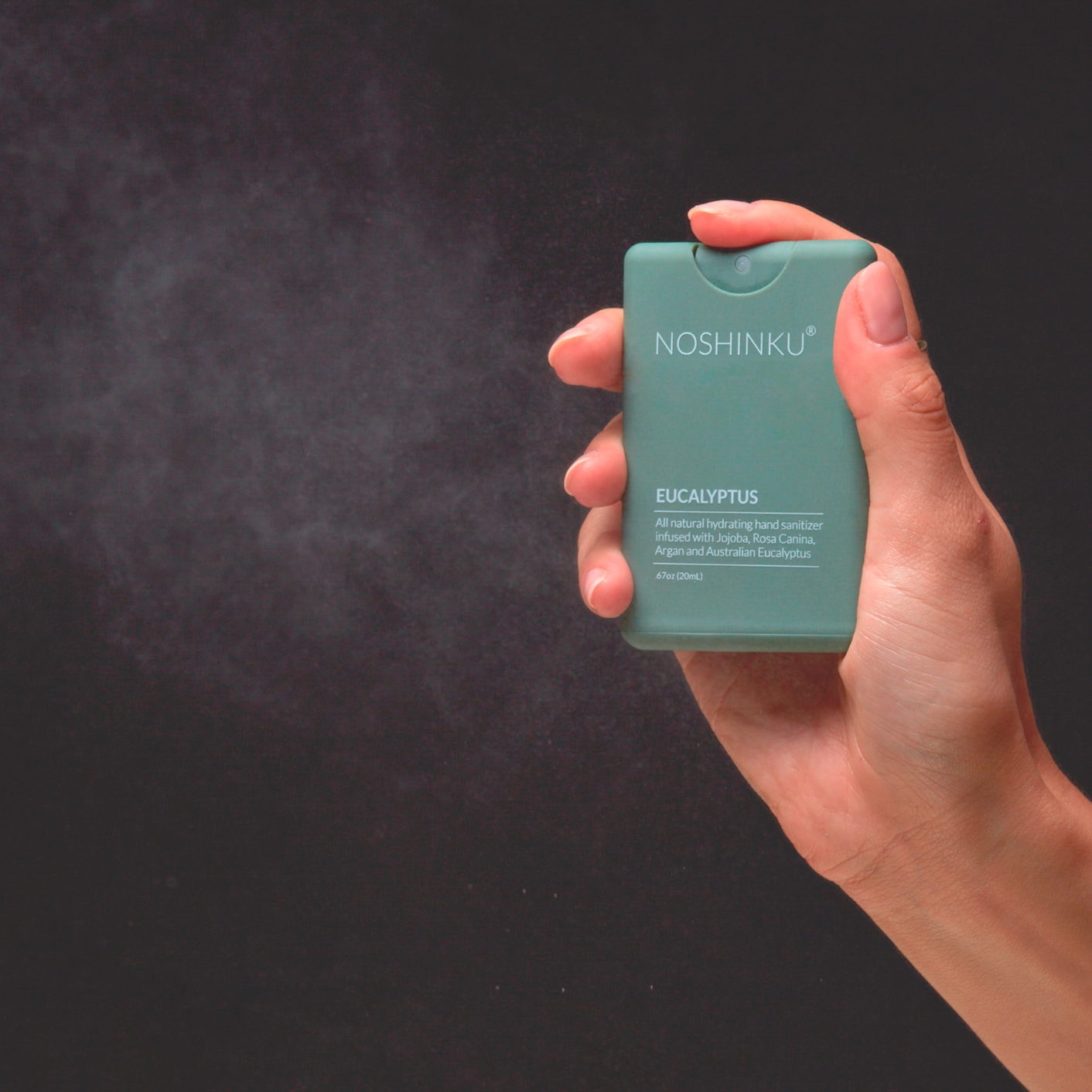 Eucalyptus Moisturizing Pocket Hand Sanitizer